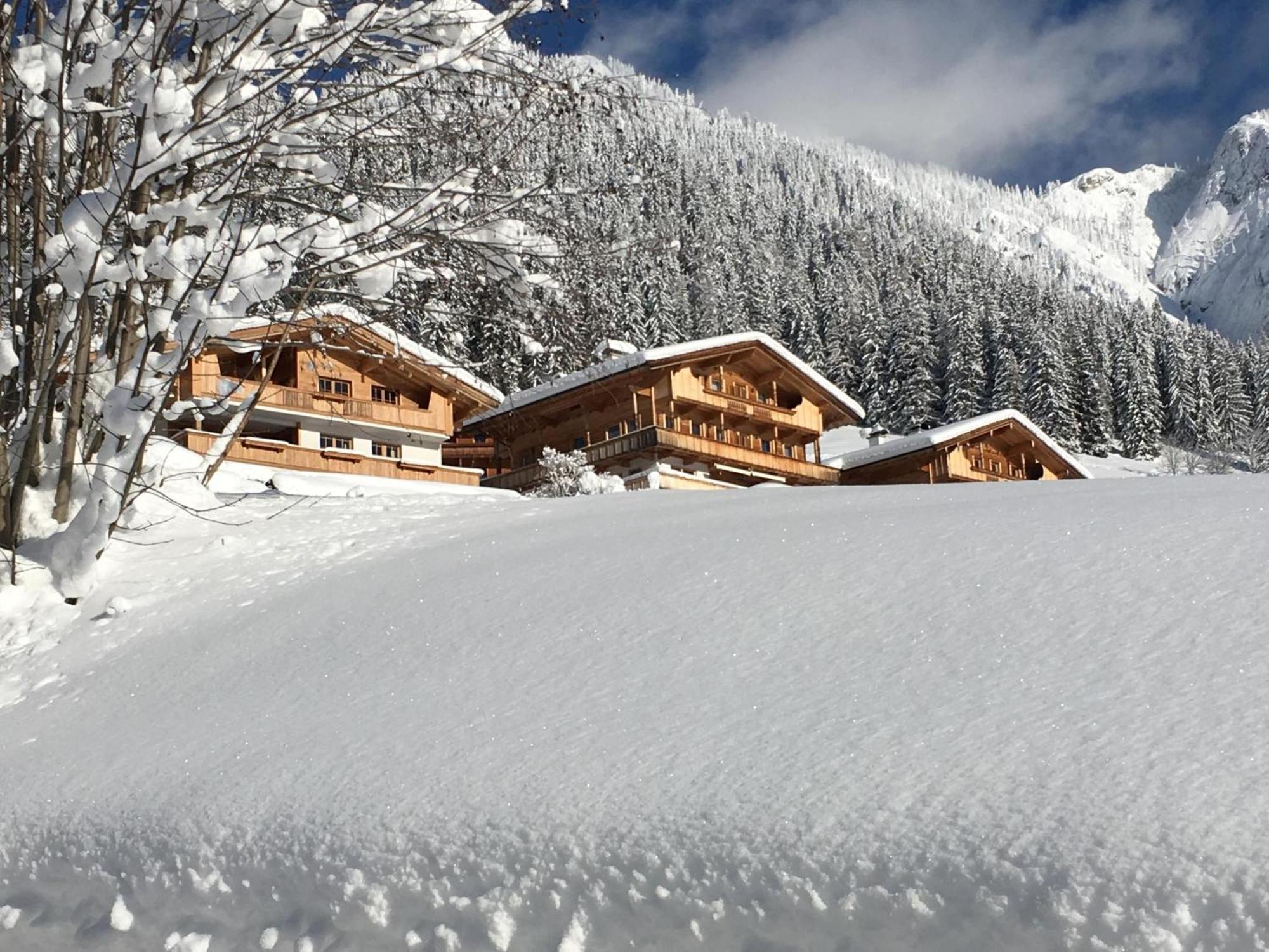 Apartamento Haus Fernwald Top Nynke Alpbach Exterior foto